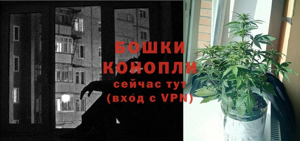 мяу мяу мука Гусь-Хрустальный