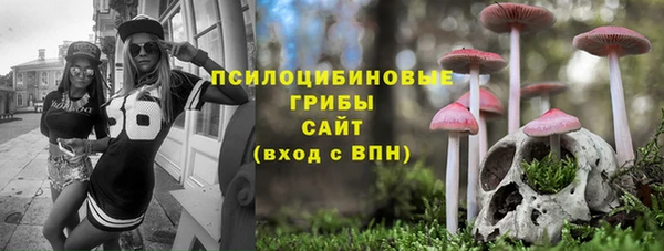 альфа пвп Гусиноозёрск