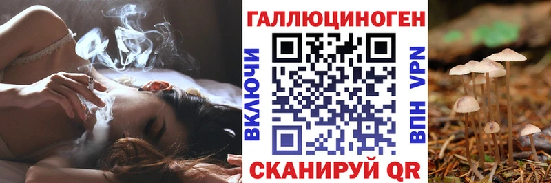 Псилоцибиновые грибы MAGIC MUSHROOMS  Купить закладки  Новосокольники 